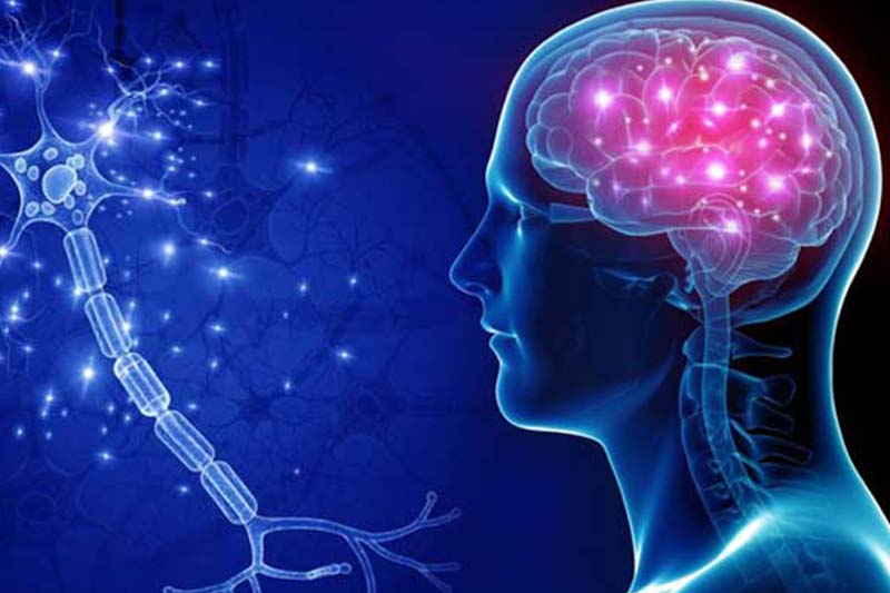 <a href="https://shreedhruti.midbridgetechnologies.com/contact-us/" class="txt">Neurological Disorders</a>