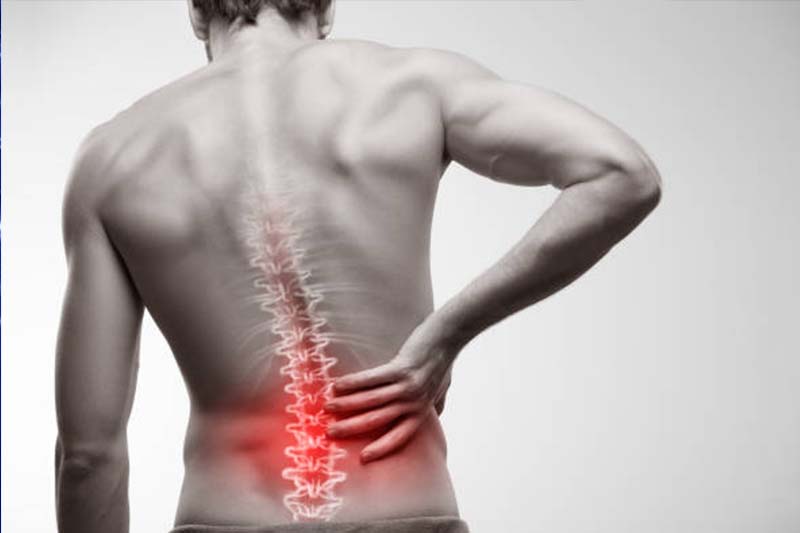 <a href="https://shreedhruti.midbridgetechnologies.com/spinal-cord/" class="txt">All Spine Problems</a>