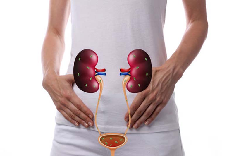 <a href="https://shreedhruti.midbridgetechnologies.com/contact-us/" class="txt">Urinary Tract Infection</a>